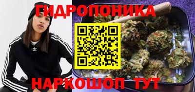 ГАЛЛЮЦИНОГЕННЫЕ ГРИБЫ Пугачёв