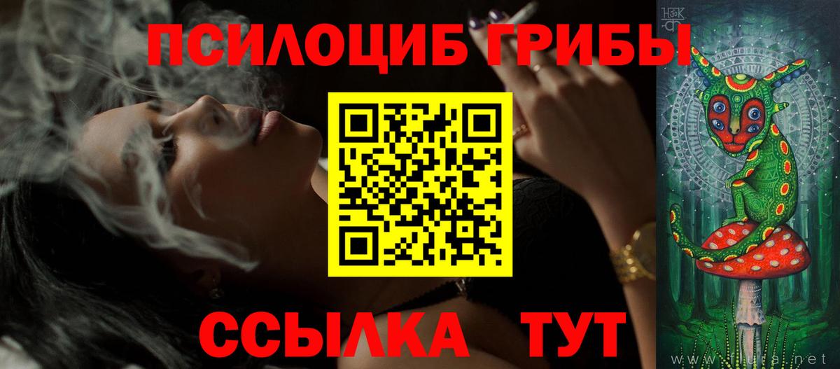 Советск  Галлюциногенные грибы прущие грибы  Вход с VPN 